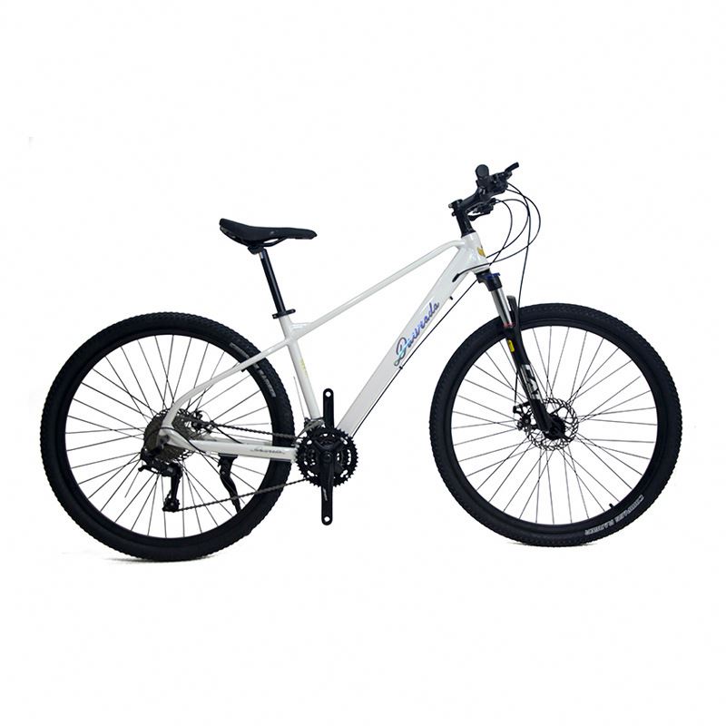 Mountain Biking Usa - 29 inç Alüminyum Alaşımlı Dağ Bisikleti