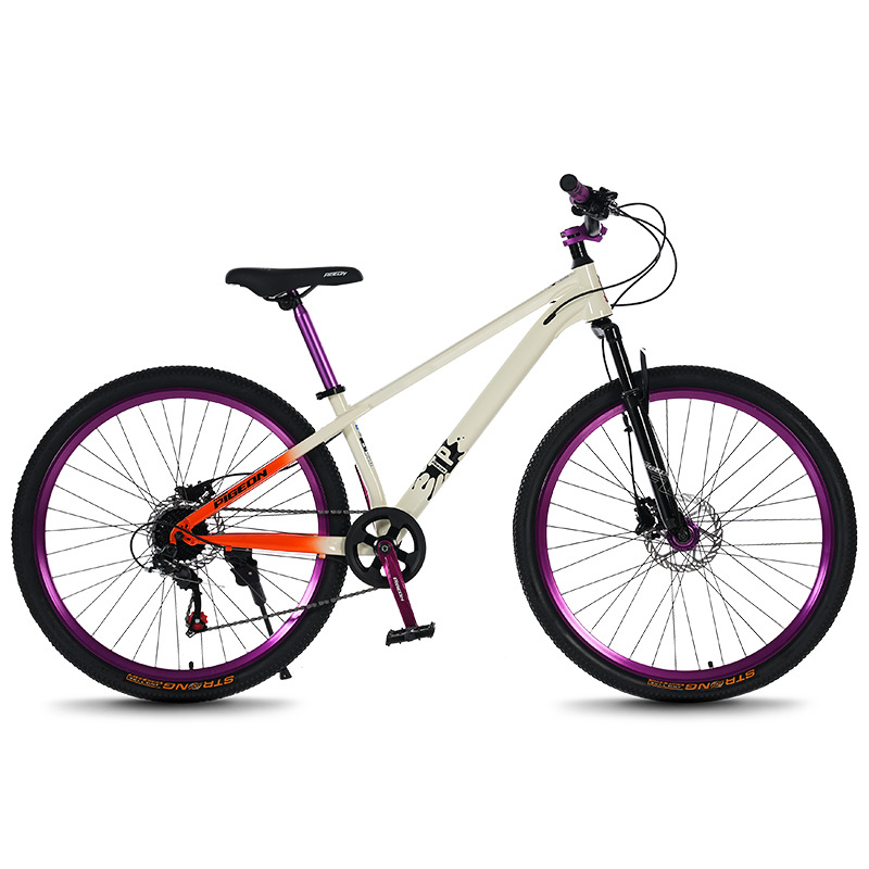 Mountain Biking Youth - Dağ bisikleti genç ve yetişkin vites